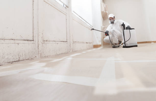 24/7 Emergency Mold Testing experts in Pitman, NJ